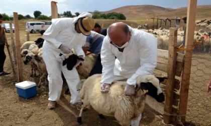 Her mevsim kırsala destek