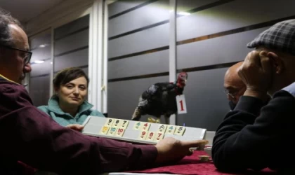 Hindi ödüllü turnuvada 35 yıl sonra ilk kez şampiyon oldu