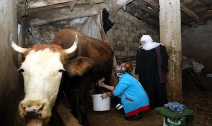 İneklerini sağamayan çifte, Vefa ekibinden yardım