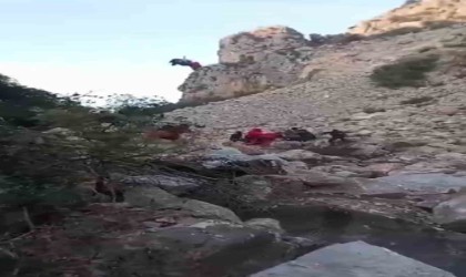 İzmirde kayalıklardan düşen kişi helikopterle böyle kurtarıldı