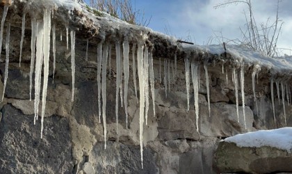 Kar olmayan kentte don etkili oluyor