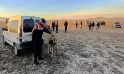 Kayseri’de bahisle köpek dövüştüren 37 kişiye 150 bin TL ceza