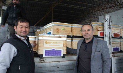 Kemerde arı üreticilerine kovan desteği