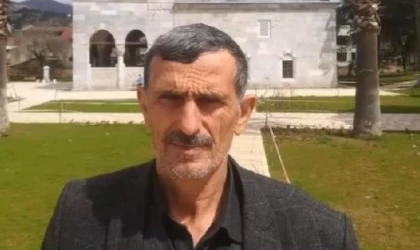 Kestiği ağacın üstüne devrilmesiyle öldü