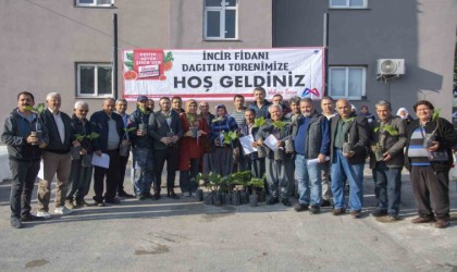 Mersin Büyükşehir Belediyesinden üreticilere incir fidanı desteği