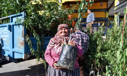 Mersinde üreticilere badem fidanı desteği