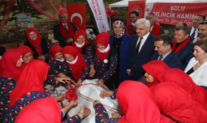 Meyvelerin değerine değer katılacak