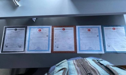 Oğlunu kaybeden annenin feryadı, organize suç örgütünü çökertti