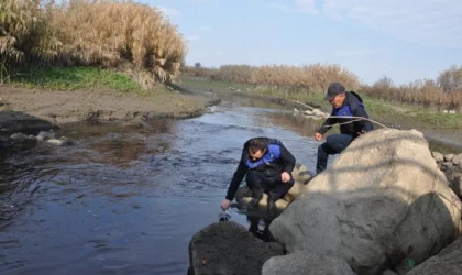 Rengi siyaha dönen ve balık ölümleri yaşanan Karasu Çayı’nde inceleme