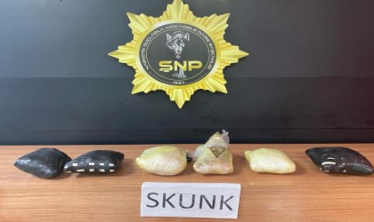Şanlıurfada 3 kilo 900 gram skunk ele geçirildi: 1 gözaltı
