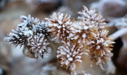 Sivas adeta buz kesti, göller kısmen dondu