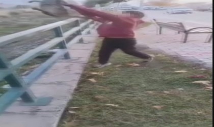 TikTokta paylaşmak için kediyi ırmağa atmışlardı, gözaltına alındılar