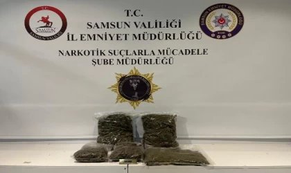 TIR’daki 3 kilo 950 gram uyuşturucuyu Tony buldu