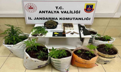 Uyuşturucu operasyonunda yarım kilogram metamfetamin yakalandı