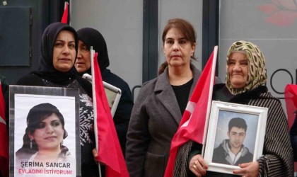 Van annelerinin evlat nöbetine bir aile daha katıldı