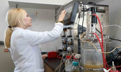 Vücuttaki sitokin fırtınasını durduracak yerli ve milli ilaçta hayvan deneylerine geçildi