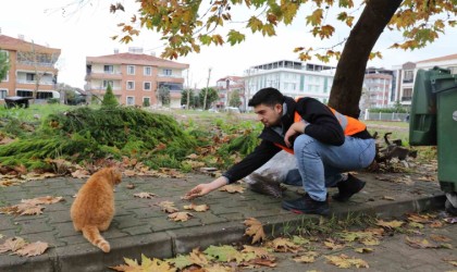 Yalova Belediyesinden sokak hayvanlarına 11 ayda 28,5 ton mama