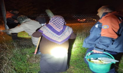 Yalovada mantar toplarken ormanda kaybolan 3 kişi kurtarıldı