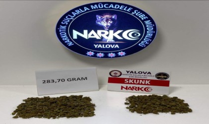 Yalovada uyuşturucu operasyonu: 1 tutuklama