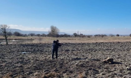 Yaralı bulunan bozayı, bayıltılarak tedaviye götürüldü