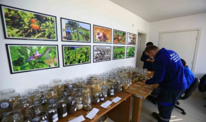 1 Milyon yerel tohumun dağıtımına başlıyor