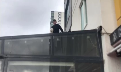 5’inci kattan fırının brandasına düşen kedi kurtarıldı