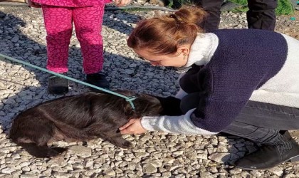 7 aydır kayıp köpeğin sahibi ile buluşma anı duygulandırdı