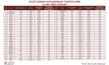 Adana, Akdeniz Bölgesinde en çok Suriyeli barındıran 2. şehir oldu