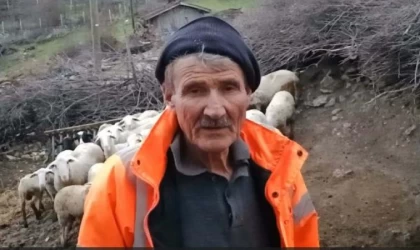 Ağıla girip koyunlara işkence yaptı; o anlar kamerada