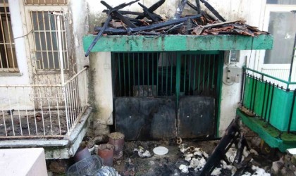 Alev alev yanan ev, itfaiye ekiplerince söndürüldü