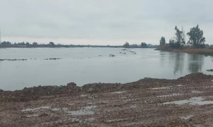 Asi Nehri yağışla taştı; tarım arazileri su altında kaldı
