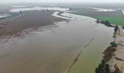 Aşırı yağışla birlikte taşan Asi Nehri tarım arazilerini su altında bıraktı