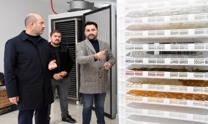 Başkan Kılıç: “Meyve-sebze kurutma tesisimiz faaliyete başladı”