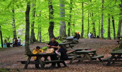 Bolunun doğa harikasında insan faaliyetleri doğal dengeyi bozuyor
