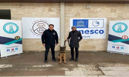 Büyükşehirin projesiyle sokak hayvanları yuva buluyor