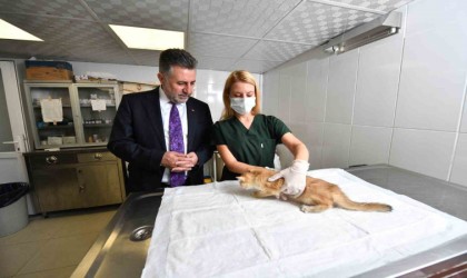 Can dostlara sıcak yuva ve mama desteği