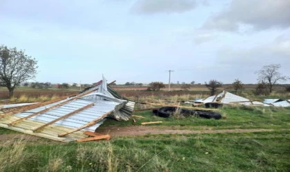 Çanakkale’de fırtına; ağaç devrildi (2)