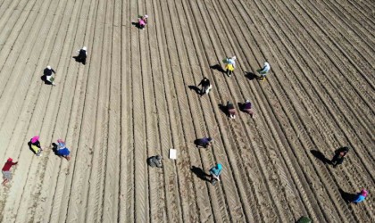 Çiftçilerin destek ödemeleri başladı