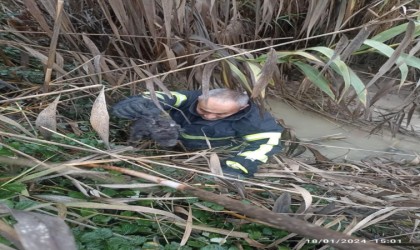 Dereye düşen yavru köpeği itfaiye ekipleri kurtardı