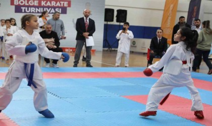 Diyarbakırda 311 çocuk karate turnuvasında mücadele etti
