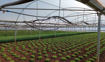 Eskişehirde Kırsal Kalkınma Destekleri başvuruları başladı