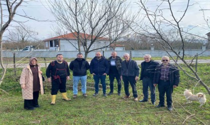 Fındık üreticilerine ‘doğru budama eğitimi