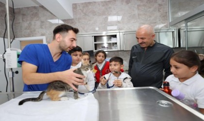 Gebzede 10 bin 939 yaralı ve hasta hayvanın tedavisi yapıldı