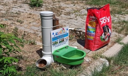 Gedizde sokak hayvanları unutulmadı