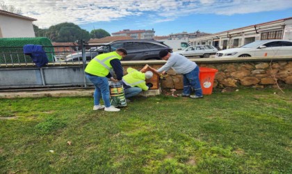 Gömeçte sokak kedilerine, kedi evi