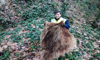 İçmesuyu hattından 1 metrelik kunduz çıktı