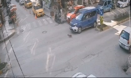 İki aracın ezdiği kedinin imdadına koştu ama büyük şok yaşadı