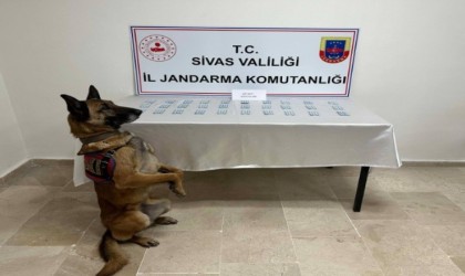 İran plakalı otobüste uyuşturucu ele geçirildi