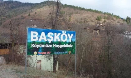 Karabük’te, hayvanların zehirlenerek öldürüldüğü iddiasına soruşturma