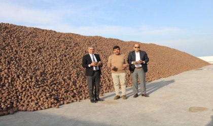 Koçarlı Türkiyenin künar deposu haline geldi